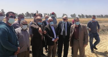 سنابل الخير.. محافظ بورسعيد يشهد حصاد حقول القمح.. فيديو وصور