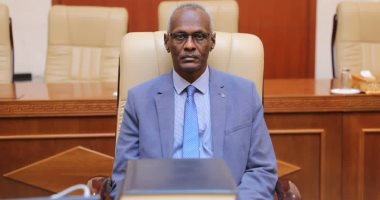وزير الرى السودانى يؤكد استعداد الفرق القانونية لمقاضاة إثيوبيا بشأن سد النهضة