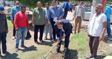 زراعة ألف شجرة زيتون بالحدائق العامة المجانية بمدن كفر الشيخ