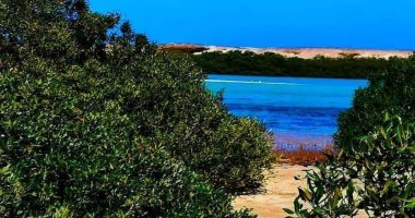 شاهد جمال الطبيعة الخلابة بشواطئ مرسى علم × 10 صور