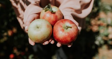وصفات طبيعية للعناية بالبشرة بالتفاح.. تعالج حب الشباب وتوحد لون الوجه