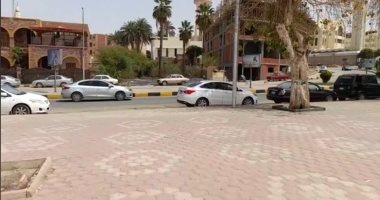 شبورة ترابية خفيفة وطقس حار يسود محافظة أسوان.. فيديو 