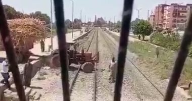 جرار قصب يقتحم سور السكة الحديد بأسوان.. ويقظة سائق القطار تمنع كارثة.. صور وفيديو