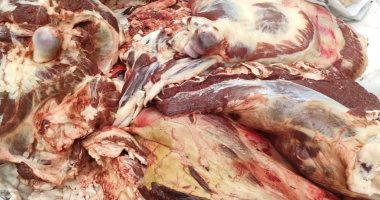 التحفظ على كميات من اللحوم غير صالحة للاستخدام الآدمى داخل مصنع بالإسكندرية