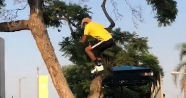  شاب أمريكى ينفذ قفزة صعبة بـ"سكوتر" بين فرعى شجرة.. فيديو وصور