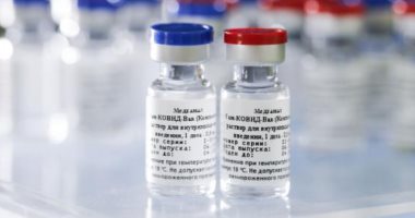 صحيفة سنغافورية: لا خطط لتطعيم الحيوانات ضد كورونا بعد إصابة 4 أسود
