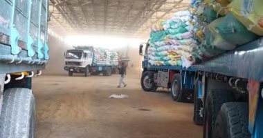 تموين الإسكندرية: توريد 17 طنا من القمح حتى الآن