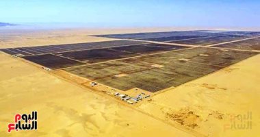 "سد عال جديد" فى أسوان.. مشروع الطاقة الشمسية بنبان الأكبر فى الشرق الأوسط