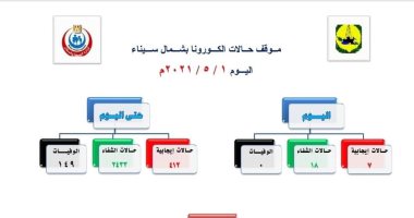 شفاء 18 حالة إصابة من فيروس كورونا فى شمال سيناء