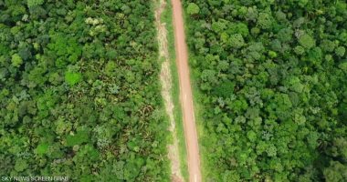 زراعة 10 آلاف شجرة بالأمازون فى أولى خطوات تعافى رئة الأرض