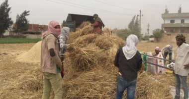 محافظ الشرقية يُشدد على توفير ماكينات حصاد قمح بالمجان للمزارعين