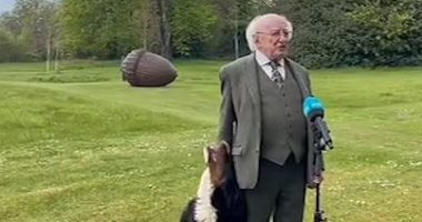 رئيس أيرلندا يتعرض لموقف طريف من كلبه أثناء لقاء تليفزيونى.. فيديو