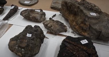 العثور على حفريات عمرها 15 مليون سنة فى سيارة على حدود كرواتيا والبوسنة.. فيديو