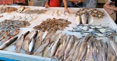 أسعار الأسماك والأكلات البحرية فى بورسعيد.. شاهد ما قاله البائعون