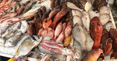 أسعار الأسماك اليوم بسوق العبور للجملة.. البورى يتراوح بين 32 - 48 جنيها 