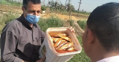 حملات لمصادرة الأسماك المملحة الفاسدة وتحرير 49 مخالفة تموينية بالمنيا.. صور