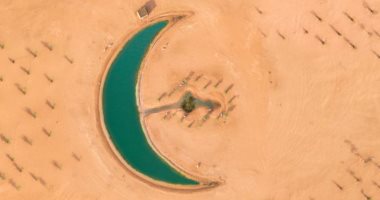 بحيرة على شكل هلال محاطة بأشجار كالنجوم تزين صحراء دبى.. فيديو وصور