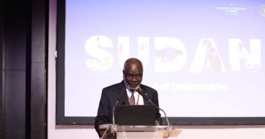 وزير مالية السودان من باريس: نتطلع إلى شراكات استراتيجية فى الطاقة والزراعة