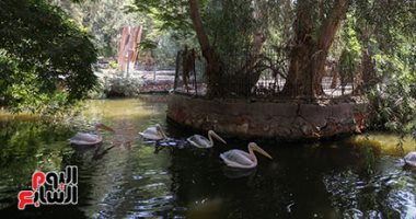 محمد رجائي: حديقة حيوان الجيزة من التراث وماضون فى تطويرها لإعادة قيمتها