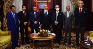رئيس مجلس الشيوخ يؤكد حرص مصر على أمن وسلامة واستقرار اليمن
