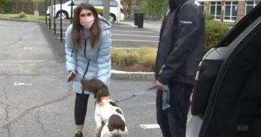 مراسلة تليفزيونية تكشف بالصدفة سرقة كلب قيمته 1200 دولار خلال تقرير على الهواء
