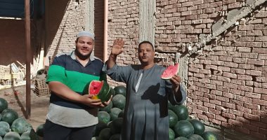 نصائح ذهبية لشراء البطيخ من أكبر شادر فى المنوفية.. لايف وصور