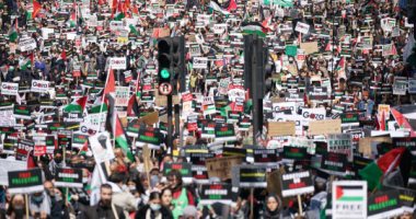 مظاهرة لدعم غزة أمام مقر الحكومة النمساوية بالتزامن مع زيارة وزير الخارجية الأمريكى