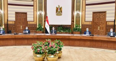 الرئاسة: الرئيس السيسى يطلع على عرض متكامل لمحاور مشروع تطوير قرى الريف