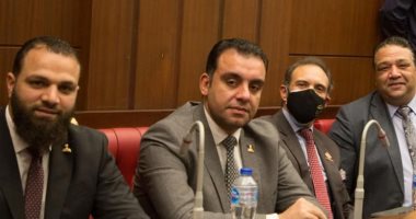 حصاد نشاط محمد السباعى نائب التنسيقية خلال دور الانعقاد الأول لمجلس الشيوخ