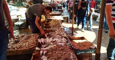 "الميدان" أشهر سوق لبيع الأسماك فى الإسكندرية.. الموزة بـ20 جنيها.. فيديو وصور