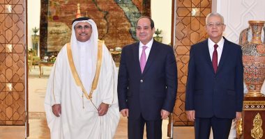الرئيس السيسى: صون الأمن القومى العربى عماد أساسى للحفاظ على حقوق الإنسان