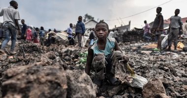 الفاو: 27.3 مليون شخص يعانون انعدام الأمن الغذائى فى الكونغو بسبب النزاع
