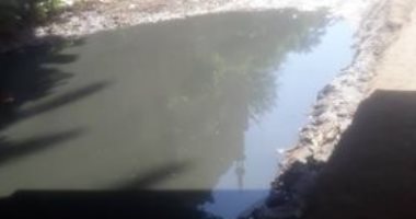 أهالى حى المهندسين بالزقازيق يطالبون برفع المياه أسفل نفق علاء الدين.. المحافظ يستجيب