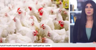 نصائح هامة عند شراء الدواجن الحية.. التفاصيل فى تغطية تليفزيون اليوم السابع