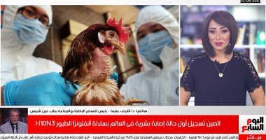 هل ظهور تحور بفيروس أنفلونزا H10N3 يهدد مربى الطيور؟.. فيديو
