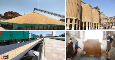 ميناء دمياط: رصيد القمح فى مخازن القطاع الخاص 36848 طنا