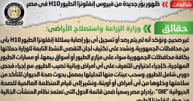 أخبار مصر.. الحكومة تنفى ظهور بؤر جديدة من فيروس إنفلونزا الطيور H10 فى مصر 