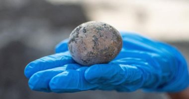 عمرها 1000 عام.. العثور على "بيضة" أثرية فى تل أبيب تعود للعصر الإسلامى