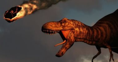 علماء يكتشفون فصيلة من أكبر الديناصورات فى العالم.. اعرف التفاصيل