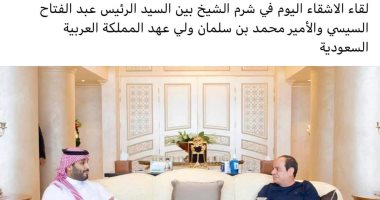 متحدث الرئاسة تعليقًا علي صورة الرئيس السيسى وولى عهد السعودية:" لقاء الأشقاء"