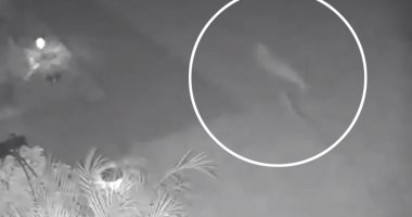 فيديو لكائن يشبه الديناصور يحدث ضجة بعد تصويره خلف أحد المنازل بولاية فلوريدا 