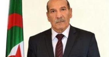 رئيس المجلس الدستورى بالجزائر: التصويت بالانتخابات السبيل لبناء جمهورية جديدة
