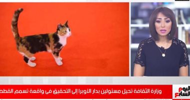 وزارة الثقافة تحقق مع المسئولين بالأوبرا بسبب تسميم القطط.. فيديو
