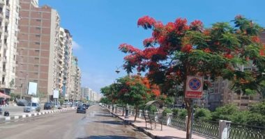 زراعة أشجار زينة بكورنيش طنطا وتعميم الفكرة فى الشوارع الرئيسية بالمحافظة