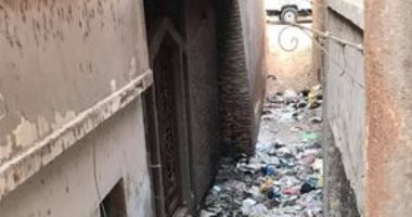 قارئة تشكو تراكم القمامة فى شارع كفر عنان بمدينة زفتى بالغربية.. رئيس المدينة يستجيب
