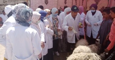 الزراعة تطلق قافلة بيطرية لعلاج مواشى صغار المربين مجانا بمحافظة كفر الشيخ