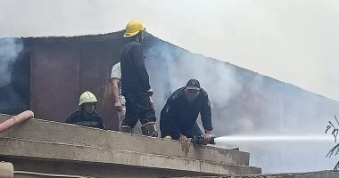 السيطرة على حريق محدود بمنطقة نخيل فى قرية أبو شهبة ببنى سويف