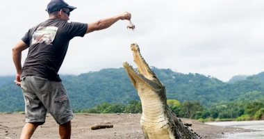مروض تماسيح يستعرض مهارته على شواطئ كوستاريكا لترويج السياحة.. فيديو