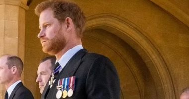 الأمير هارى يقضى الحجر الصحى فى بريطانيا قبل حفل تمثال الأميرة ديانا