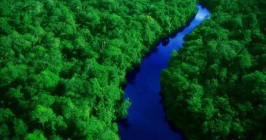 تقليص مساحة الغابات فى منطقة الأمازون الفنزويلية 28% بسبب تغير المناخ